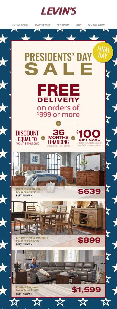 President's Day Email Extended Promo
